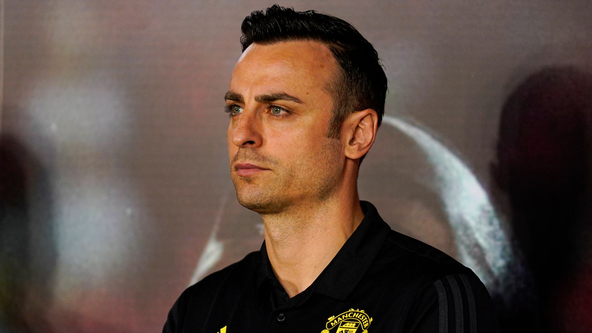 Berbatov Predicts Arsenal vs Newcastle, Man Utd, Man City Premier League Fixtures