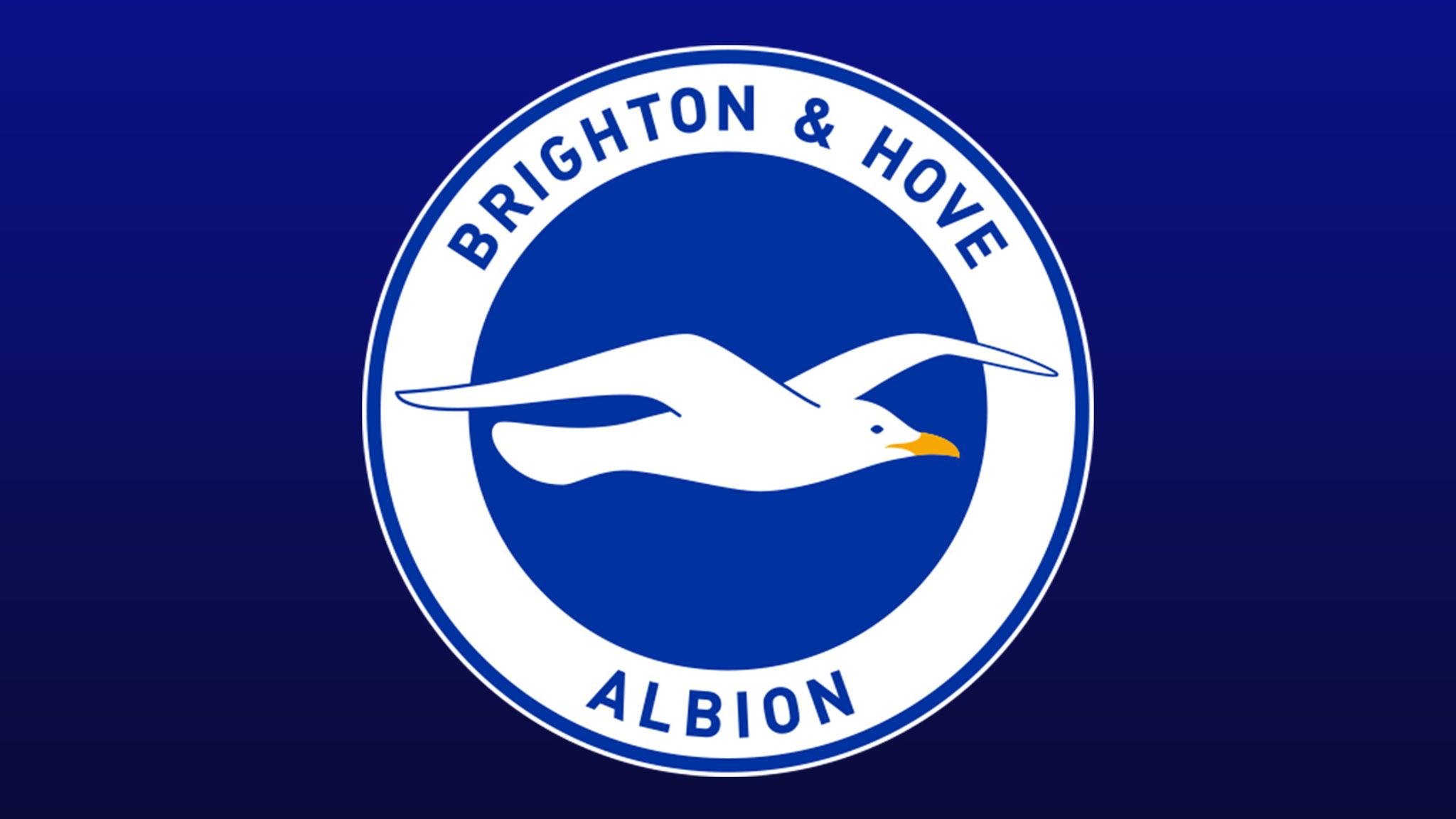 Brighton Announces Premier League Record Profit