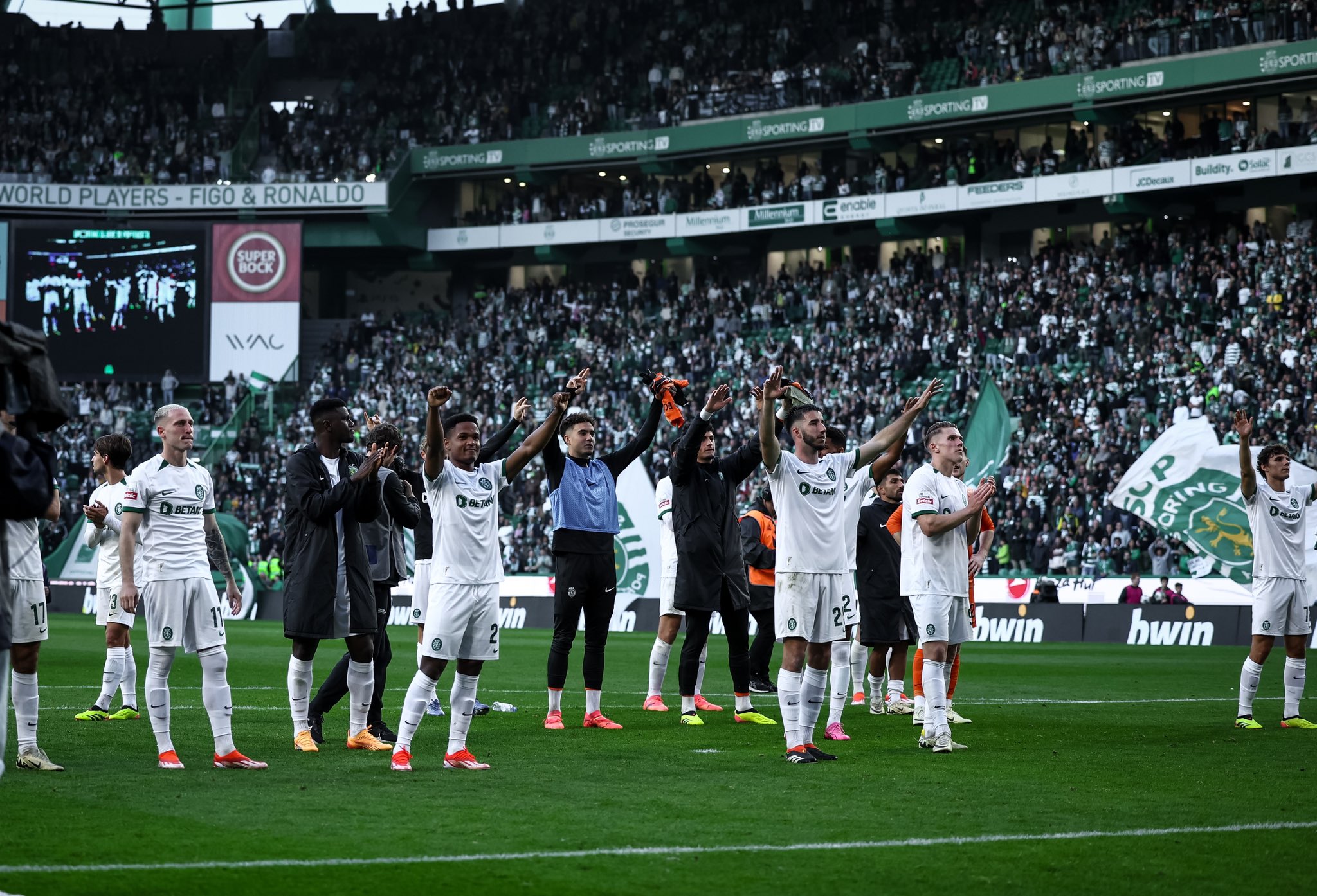 Sporting Cp Wins Liga Portugal Following Benfica's Defeat