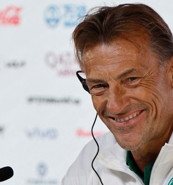 NFF Speaks On Contacting Herve Renard For Super Eagles Coaching Job