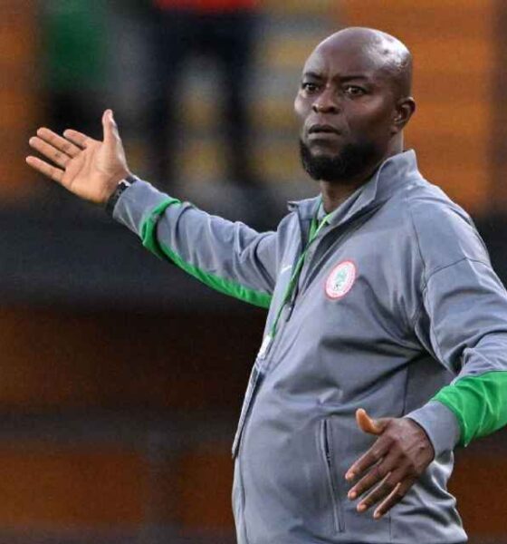 Nigeria Football Federation Seeks Expatriate Coach To Revive World Cup Qualification Hopes