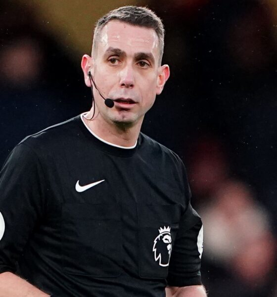 PGMOL Officially Terminates Premier League Referee David Coote's Employment