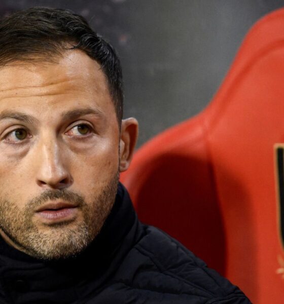 Belgium Sacks Manager Domenico Tedesco Following Thibaut Courtois Dispute