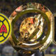 LAFC And Club América to Battle For Club World Cup Spot In End-of-Month Playoff