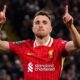 Liverpool and Portugal Star Diogo Jota Tragically Dies In Road Accident