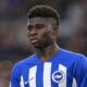 Brighton’s Carlos Baleba Attracts Interest From Manchester United And Liverpool