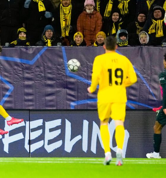 FK Bodo/Glimt players in the Champions League